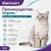 Gemon Cat Urinary Chicken Rice диетический сухой корм для взрослых кошек с курицей и рисом, 2 кг