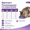 Gemon Cat Urinary сухой корм для взрослых кошек с курицей и рисом, 20 кг