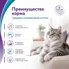 Gemon Cat Urinary сухой корм для взрослых кошек с курицей и рисом, 7 кг