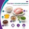 Gemon Cat Urinary сухой корм для взрослых кошек с курицей и рисом, 7 кг