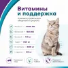 Gemon Cat Urinary сухой корм для взрослых кошек с курицей и рисом, 7 кг