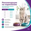 Gemon Cat Urinary сухой корм для взрослых кошек с курицей и рисом, 7 кг