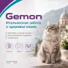 Gemon Cat Urinary сухой корм для взрослых кошек с курицей и рисом, 7 кг