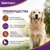 Gemon Dog Adult All Breed сухой корм для взрослых собак всех пород с ягнёнком и рисом, 3 кг