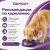 Gemon Dog Adult All Breeds сухой корм для взрослых собак всех пород с говядиной и рисом, 20 кг