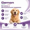 Gemon Dog Adult All Breeds сухой корм для взрослых собак всех пород с ягнёнком и рисом, 20 кг