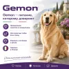 Gemon Dog Adult All Breeds сухой корм для взрослых собак всех пород с ягнёнком и рисом, 20 кг