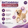 Gemon Dog Adult Beef влажный корм-паштет для взрослых собак с говядиной, 150 г