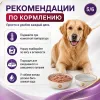 Gemon Dog Adult Beef влажный корм-паштет для взрослых собак с говядиной, 150 г