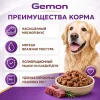 Gemon Adult Chunkies with Wild Game влажный корм для взрослых собак с мясом диких животных, 100 г