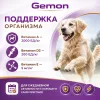 Gemon Adult Chunkies with Wild Game влажный корм для взрослых собак с мясом диких животных, 100 г