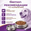 Gemon Adult Chunkies with Wild Game влажный корм для взрослых собак с мясом диких животных, 100 г