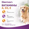 Gemon All Breeds Mature Paté Light with Turkey — полнорационный влажный корм-паштет с индейкой для собак старшего возраста, 150 г