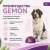 Gemon Dog Adult Pork & Rice сухой корм для взрослых собак со свининой и рисом, 15 кг