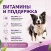 Gemon Dog Adult Pork & Rice сухой корм для взрослых собак со свининой и рисом, 15 кг