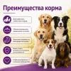 Gemon Dog All Breeds Adult Duck & Rice сухой корм для взрослых собак всех пород с уткой и рисом, 20 кг