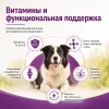 Gemon Dog All Breeds Adult Duck & Rice сухой корм для взрослых собак всех пород с уткой и рисом, 20 кг