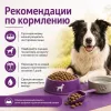 Gemon Dog All Breeds Adult Duck & Rice сухой корм для взрослых собак всех пород с уткой и рисом, 20 кг
