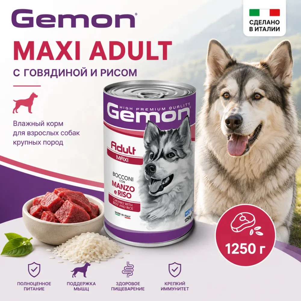 Gemon Dog Maxi Adult Beef/Rice влажный корм для взрослых собак крупных пород с говядиной и рисом, 1250 г