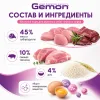 Gemon Dog Maxi Adult влажный корм для взрослых собак крупных пород со свининой и рисом, 1250 г