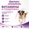 Gemon Dog Maxi Adult влажный корм для взрослых собак крупных пород со свининой и рисом, 1250 г