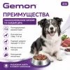 Gemon Dog Medium влажный корм для взрослых собак средних пород с говядиной и печенью, 415 г