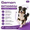 Gemon Dog Medium влажный корм для взрослых собак средних пород с говядиной и печенью, 415 г