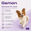 Gemon Dog Mini Adult сухой корм для взрослых собак мелких пород с лососем и рисом, 20 кг