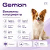 Gemon Dog Mini Adult сухой корм для взрослых собак мелких пород с лососем и рисом, 20 кг