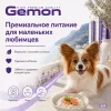 Gemon Dog Mini Adult сухой корм для взрослых собак мелких пород с лососем и рисом, 20 кг