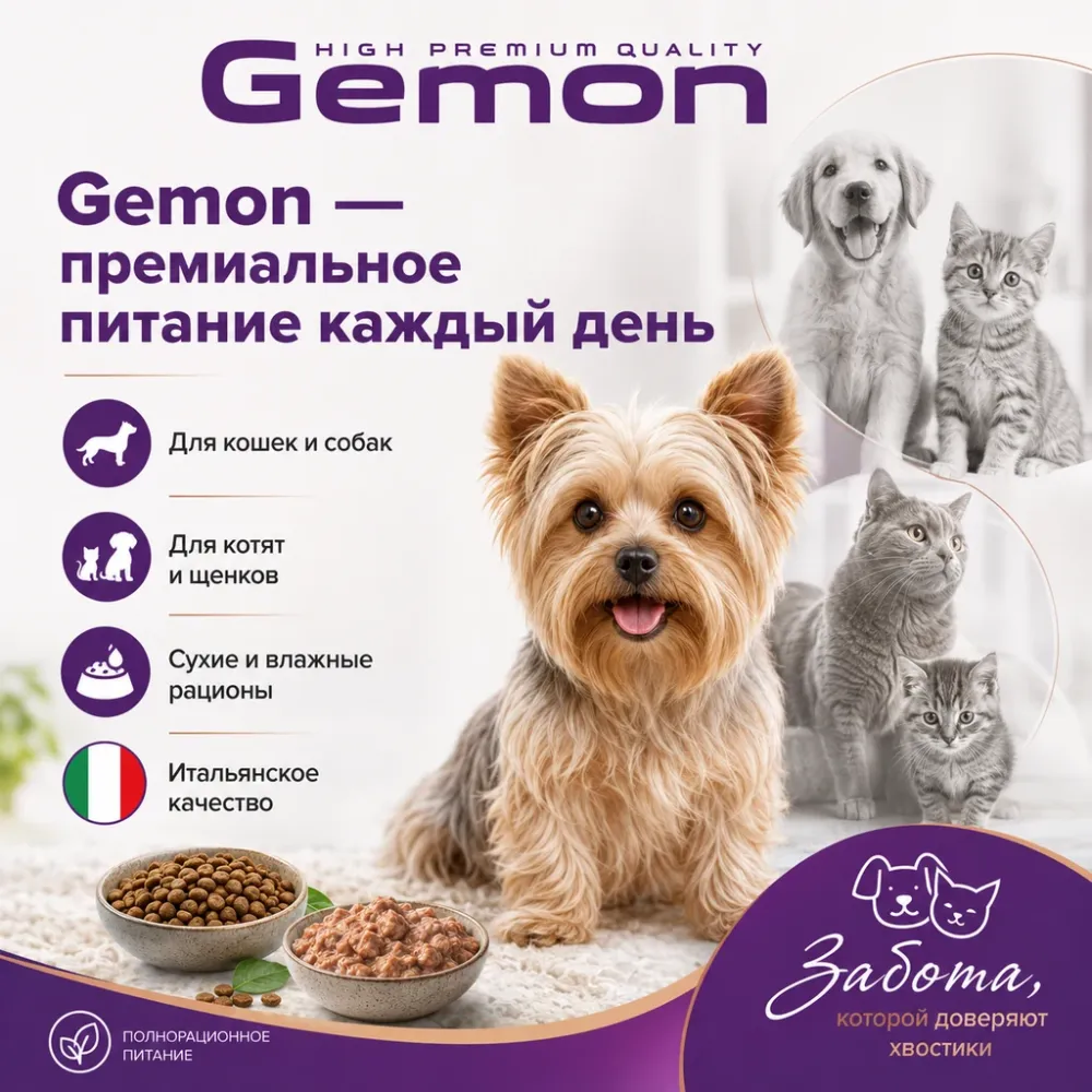 Сухой корм Gemon Dog Mini Adult для собак мелких пород с лососем и рисом, 3 кг