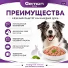 Gemon Dog паштет для взрослых собак всех пород с кроликом, 150 г