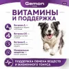 Gemon Dog паштет для взрослых собак всех пород с кроликом, 150 г