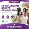 Gemon Dog паштет для взрослых собак всех пород с кроликом, 150 г
