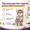 Gemon Kitten Chicken and Rice сухой корм для котят с курицей и рисом, 2 кг