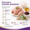 Gemon Kitten Chicken and Rice сухой корм для котят с курицей и рисом, 2 кг