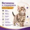 Gemon Kitten Chicken and Rice сухой корм для котят с курицей и рисом, 2 кг