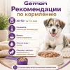Gemon Dog Puppy Chicken Turkey влажный корм для щенков с курицей и индейкой, 415 г
