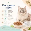 Happy Cat Care Meat in Sauce Haut & Fell влажный корм для кошек с птицей и лососем, 85 г