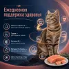 Happy Cat Culinary Meat in Sauce AtlantikLachs влажный корм для кошек с лососем, 85 г