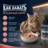 Happy Cat Culinary Meat in Sauce AtlantikLachs влажный корм для кошек с лососем, 85 г