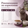 Happy Cat Sterilised Adult Atlantic Salmon сухой корм для стерилизованных кошек с лососем, 10 кг