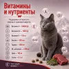 Happy Cat Sterilised Adult VoralpenRind сухой корм для стерилизованных кошек с говядиной, 4 кг