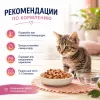 Happy Cat Kitten & Junior LandEnte влажный корм для котят с уткой в соусе, 85 г