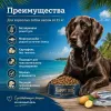 Happy Dog Karibik сухой корм для собак с морской рыбой и картофелем, 11 кг