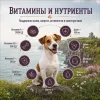 Happy Dog Mini Ireland сухой корм для собак мелких пород с лососем и кроликом, 800 г