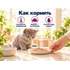 Kippy Mousse Kitten с перепёлкой и яйцом влажный корм для котят, 85 г