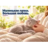 Kippy Mousse Kitten с перепёлкой и яйцом влажный корм для котят, 85 г