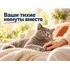 Kippy Mousse с телятиной влажный корм для взрослых кошек, 85 г