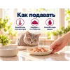 Kippy Natural с тунцом и креветками дополнительный корм для взрослых кошек, 70 г